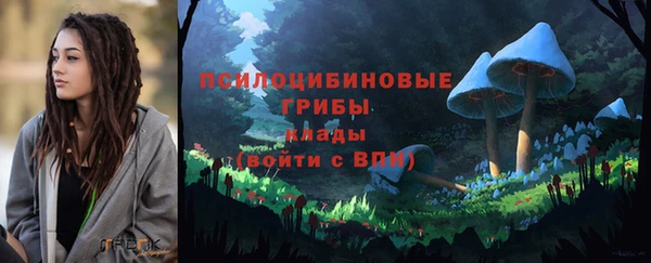 соль курить ск Верхний Тагил