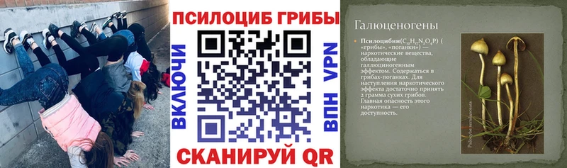 Галлюциногенные грибы GOLDEN TEACHER  Миасс 